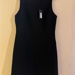 Aritzia Babaton Bond Dress.